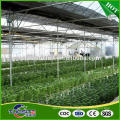 Good reputation new import agricultural green house film